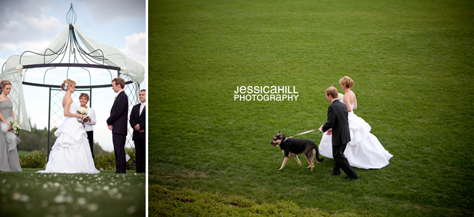 Zenith-Vineyards-Wedding-Photos-10.jpg