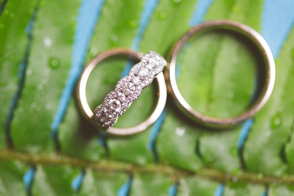 Three gold rings, including one with diamonds, rest on a green leaf with blue veins and water droplets. Jessica Hill Photography - Wedding Photographer - Oregon