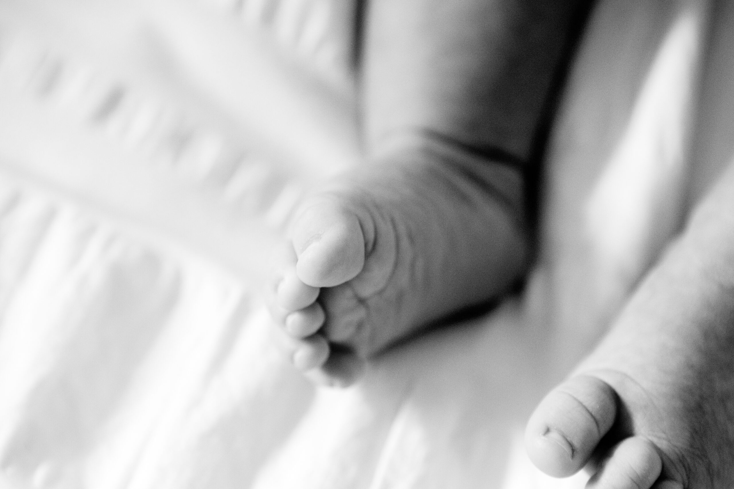 best-family-photos-portland-oregon-010