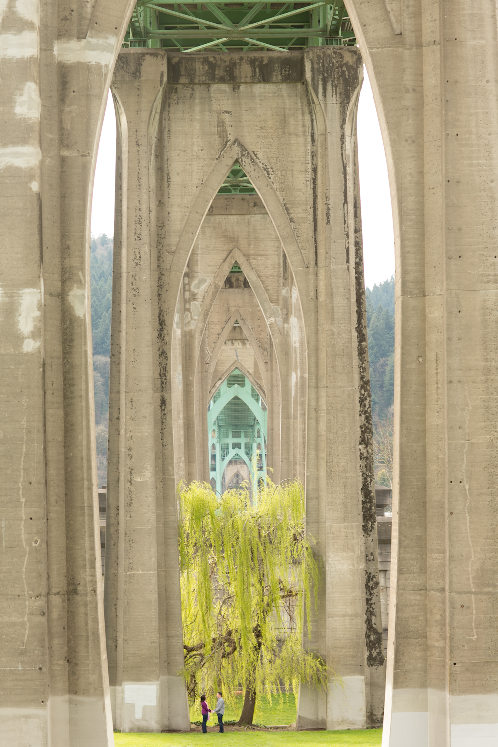 Cathedral_Park_JessicaHillPhotography-8 Two people walk hand-in-hand down a tree-lined, shaded path surrounded by tall, mossy trunks in a forest. Sunlight filters through the dense canopy above. Jessica Hill Photography