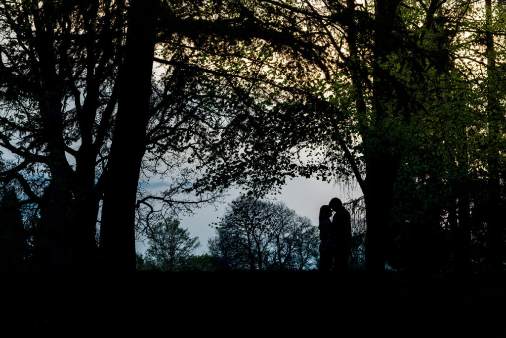 Two people stand close together, silhouetted against a bright sky, surrounded by tall trees and branches in a wooded area. Jessica Hill Photography - Wedding Photographer - Oregon