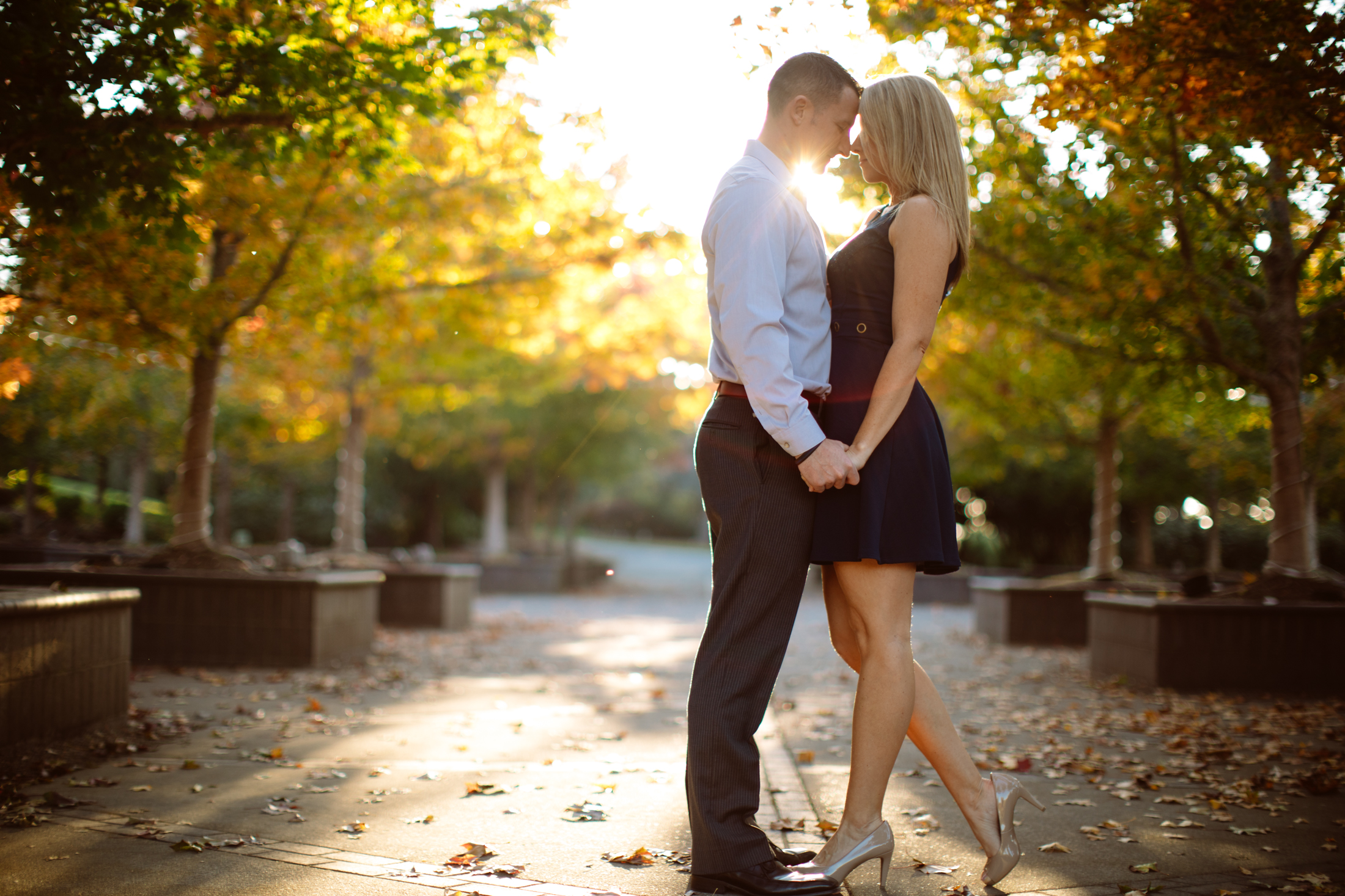 A couple stands close together, holding hands and touching foreheads, on a sunlit tree-lined path with autumn leaves on the ground. Jessica Hill Photography