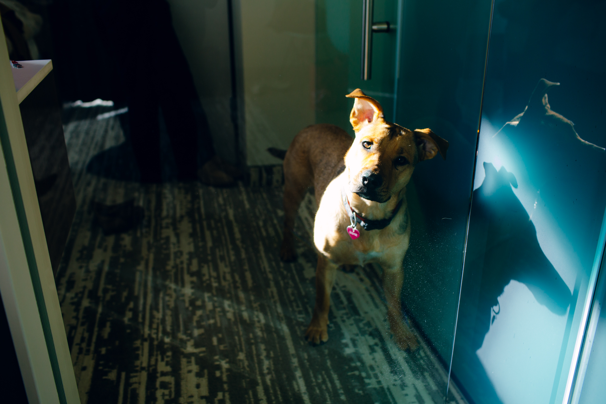 A wide-angle view of a church interior shows a wedding ceremony taking place at the altar. The pews and high arched ceiling frame the scene, with stained glass windows and a large crucifix visible behind the couple. Jessica Hill Photography - Wedding Photographer - Oregon