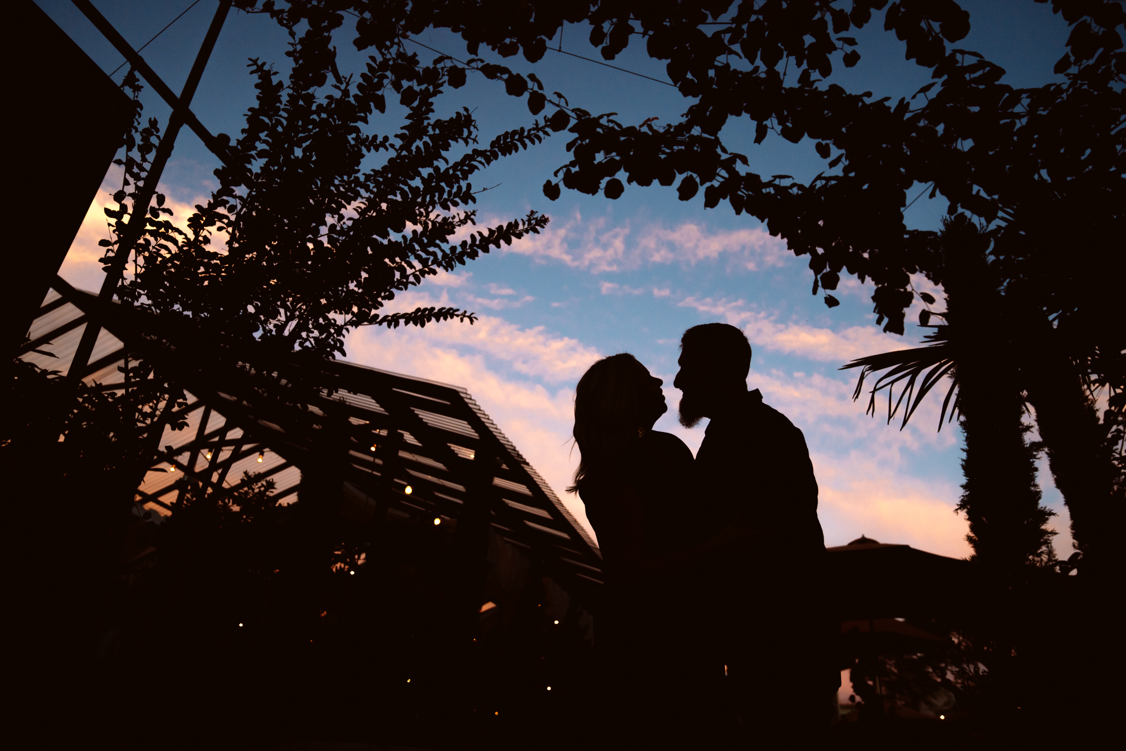 Silhouette couple kissing at sunset under trees.
