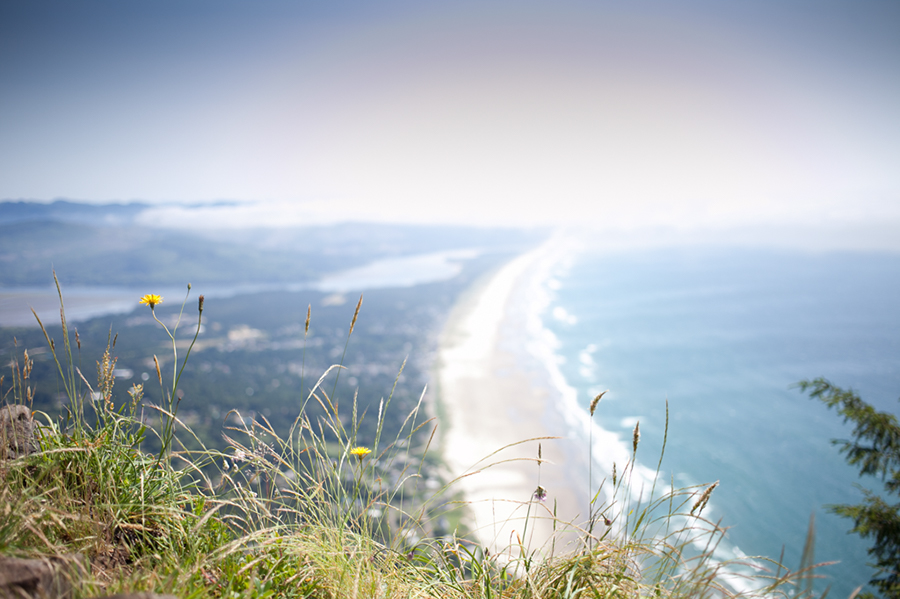 Wild grasses and yellow flowers in the foreground overlook a long, sandy coastline meeting blue ocean under a hazy sky, with distant landforms and greenery visible in the background. Jessica Hill Photography - Wedding Photographer - Oregon