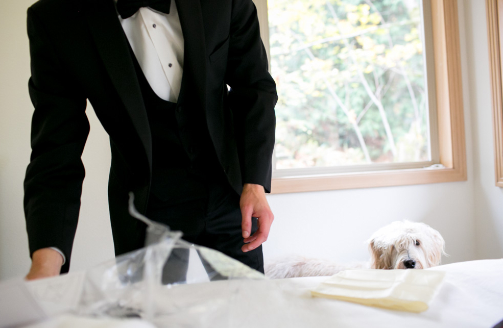 A person in a black tuxedo stands near a table, while a fluffy dog lies on the bed and looks towards the camera. A window with trees outside is in the background. Jessica Hill Photography - Wedding Photographer - Oregon