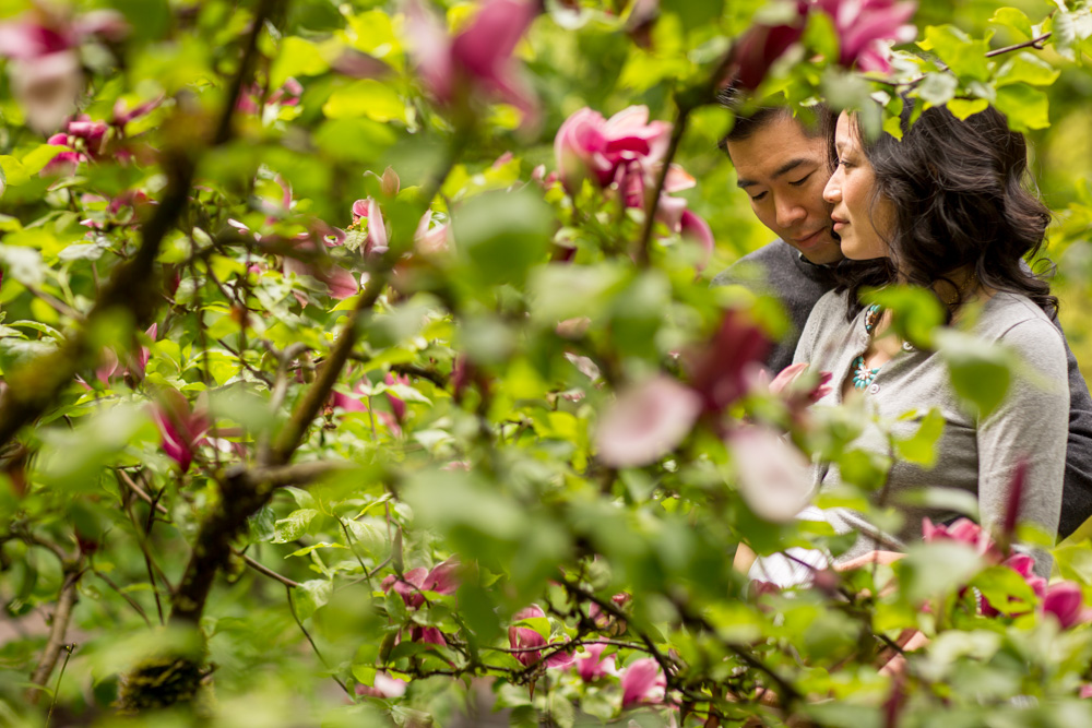 A couple sits closely together in a garden surrounded by green leaves and pink flowers, partially obscured by foliage. Jessica Hill Photography - Wedding Photographer - Oregon