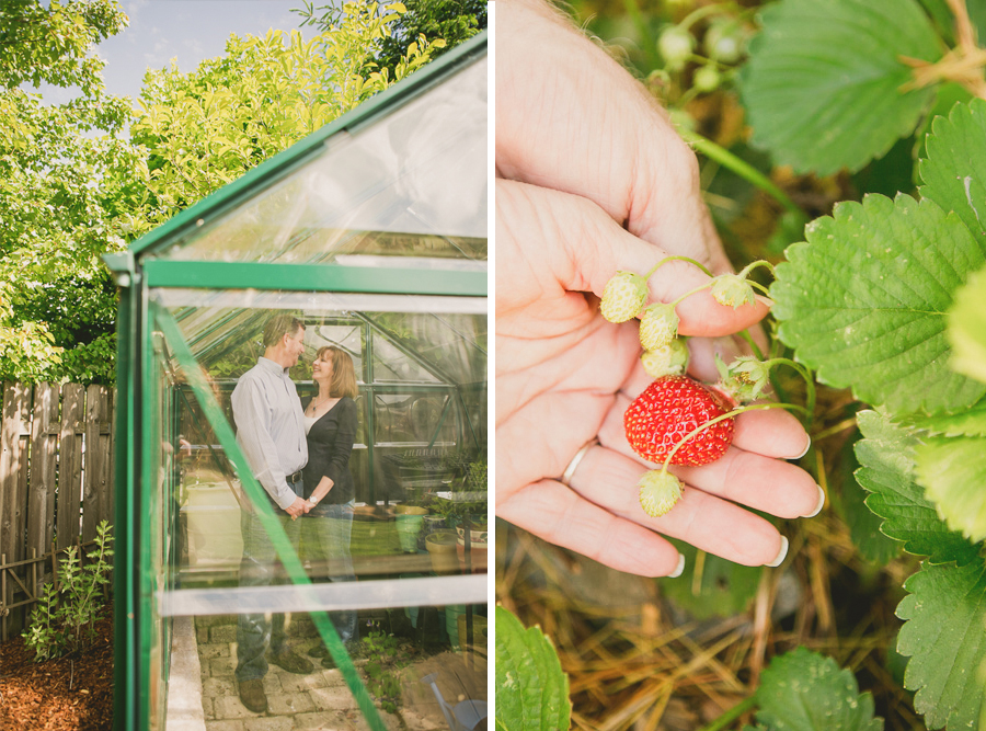 A couple stands inside a greenhouse, and a hand holds a ripe red strawberry along with unripe green strawberries on the plant. Jessica Hill Photography - Wedding Photographer - Oregon