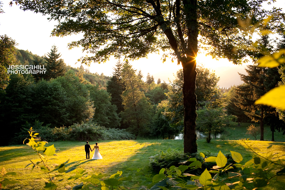 A bride and groom walk hand in hand across a sunlit grassy field, surrounded by trees and greenery at sunset. Jessica Hill Photography - Wedding Photographer - Oregon