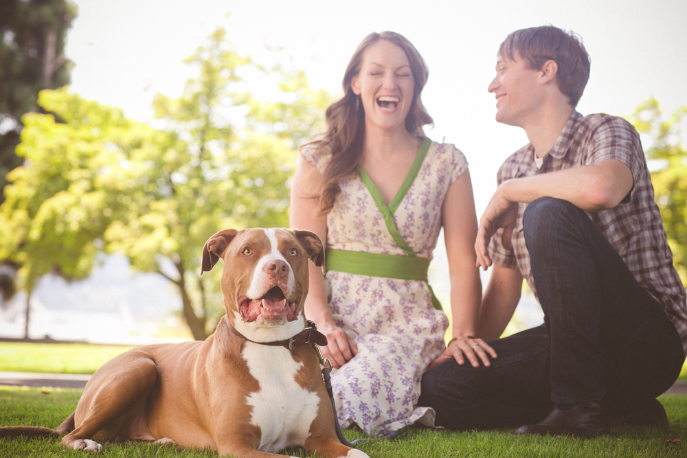 A brown and white dog sits on grass in the foreground, with a smiling woman and man sitting behind it in a sunlit park. Jessica Hill Photography - Wedding Photographer - Oregon