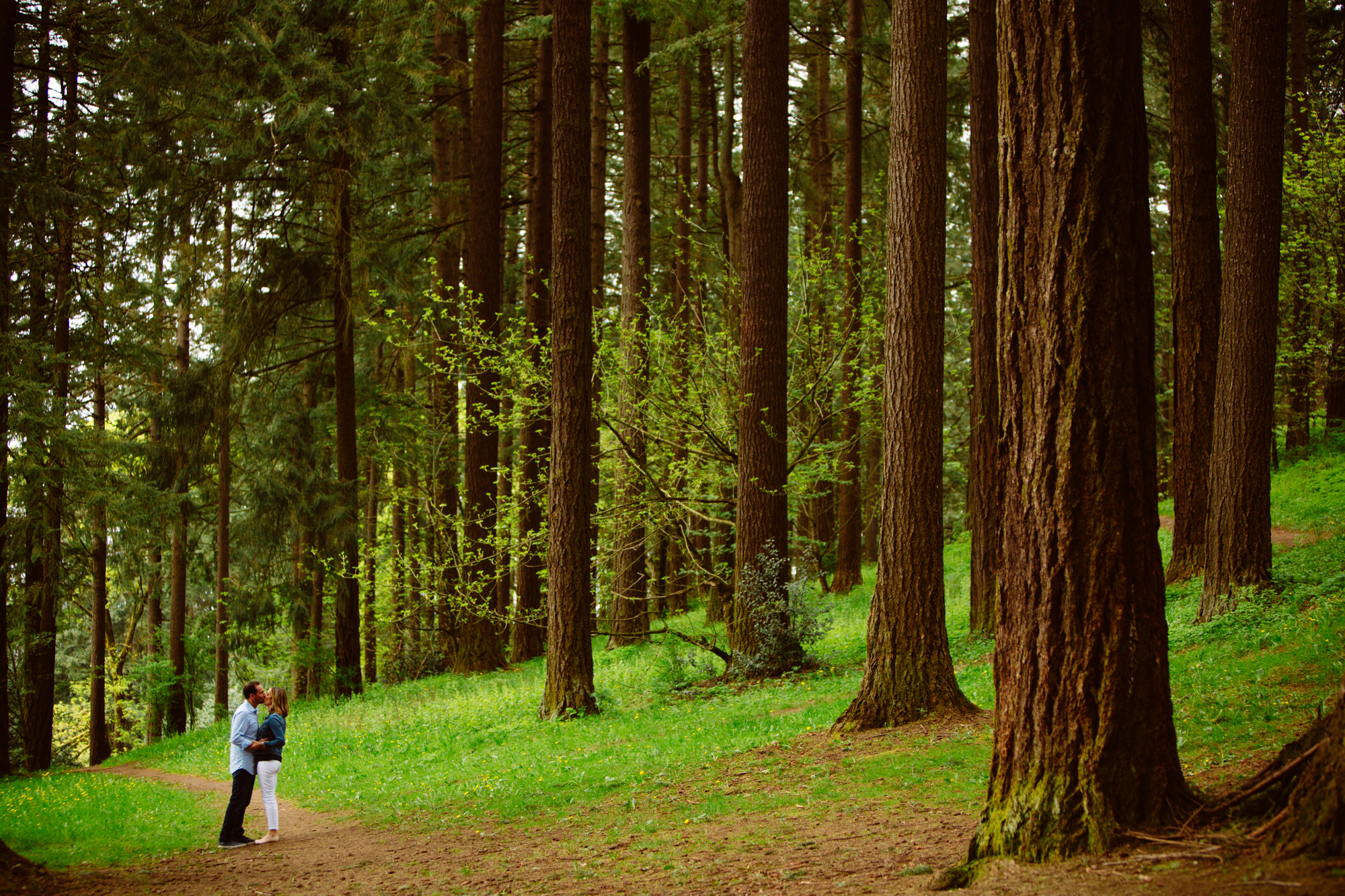 A couple stands close together on a dirt path surrounded by tall pine trees and lush green grass in a peaceful forest setting. Jessica Hill Photography - Wedding Photographer - Oregon