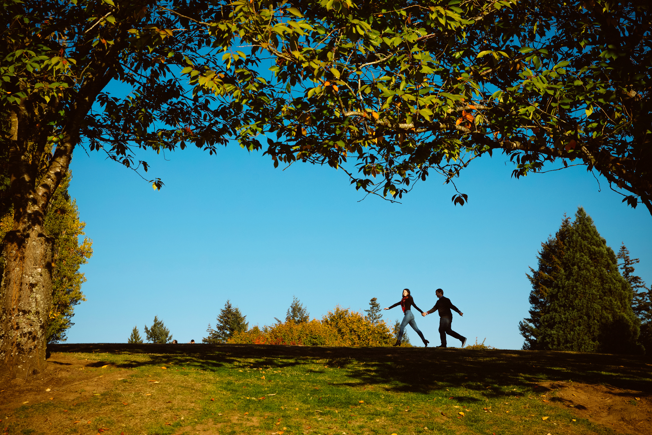 Two people hold hands and walk together on a grassy hill under a large tree, with a clear blue sky and scattered trees in the background. Jessica Hill Photography